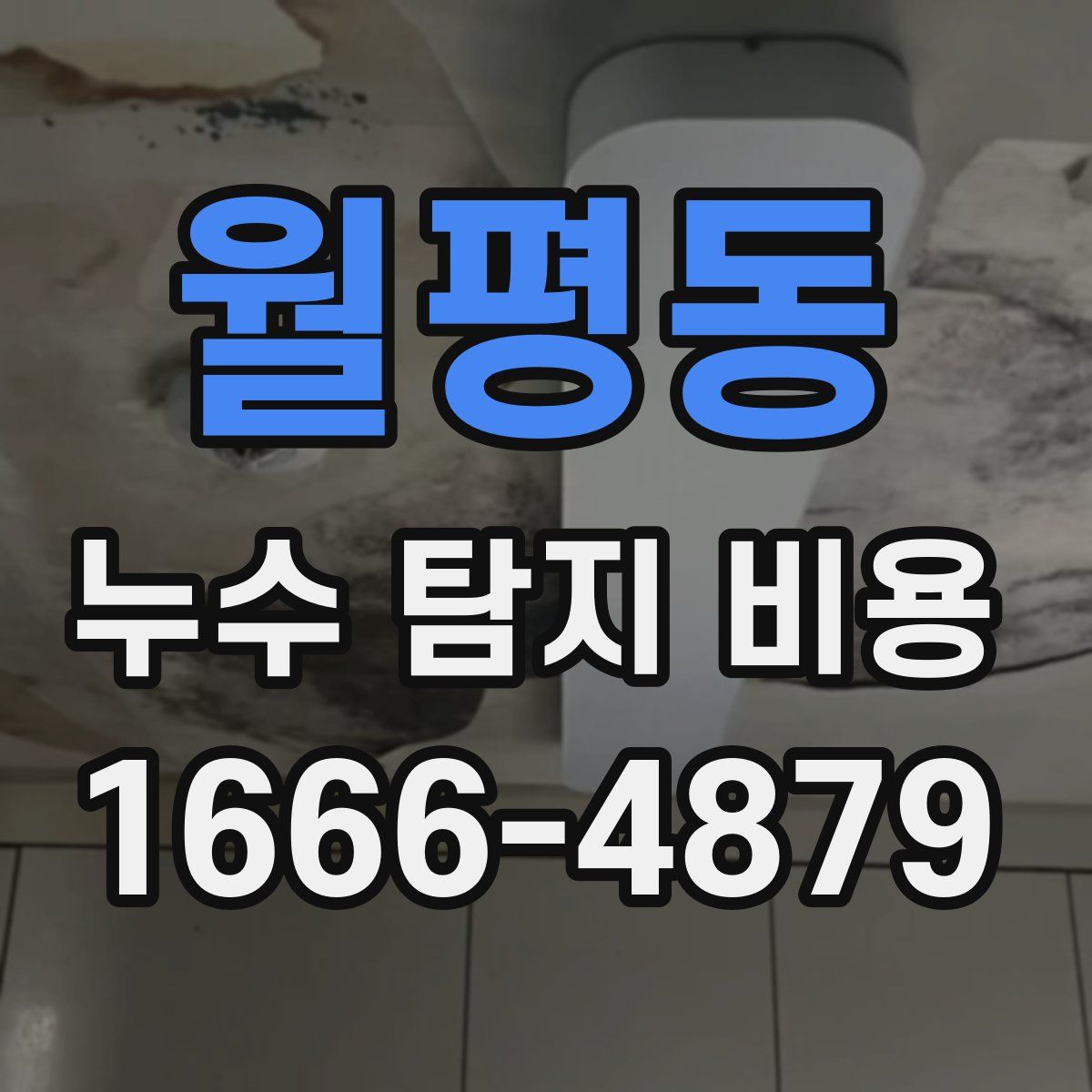월평동 누수 탐지 비용