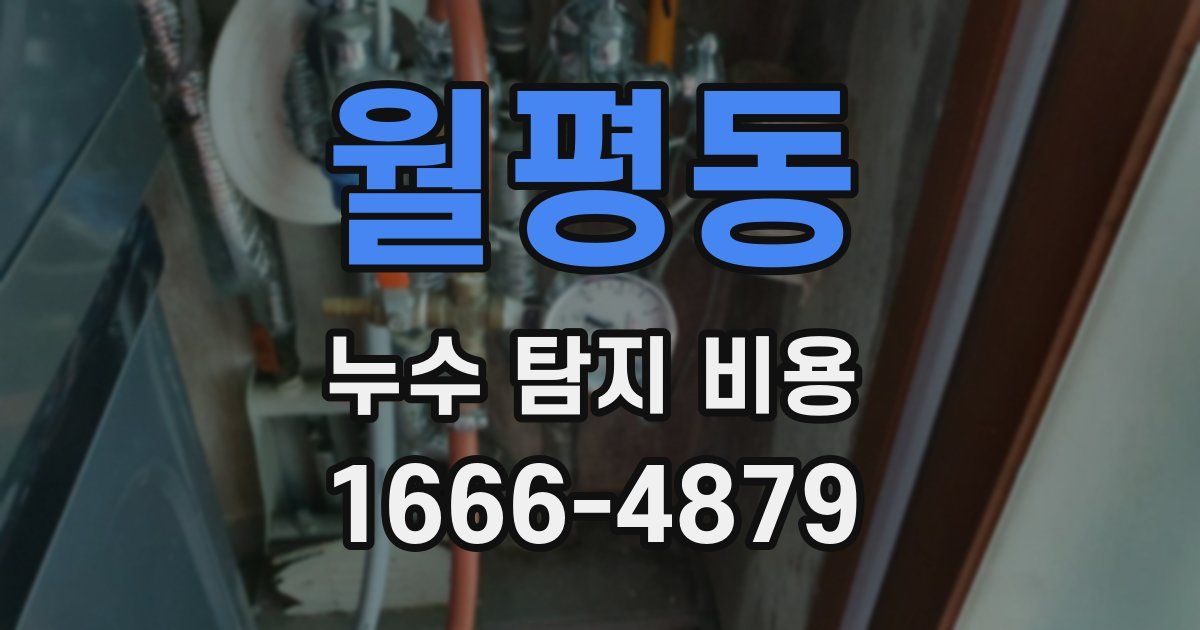 월평동 누수 탐지 비용