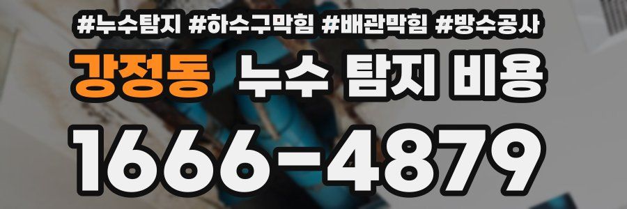강정동 누수 탐지 비용