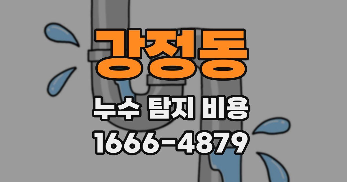 강정동 누수 탐지 비용