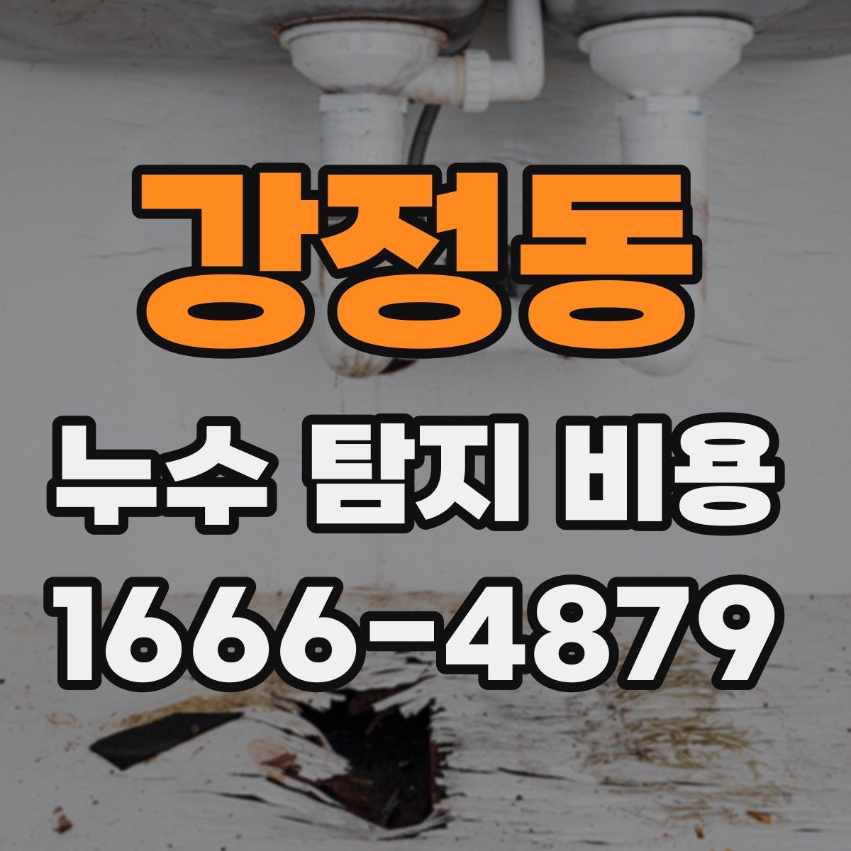 강정동 누수 탐지 비용