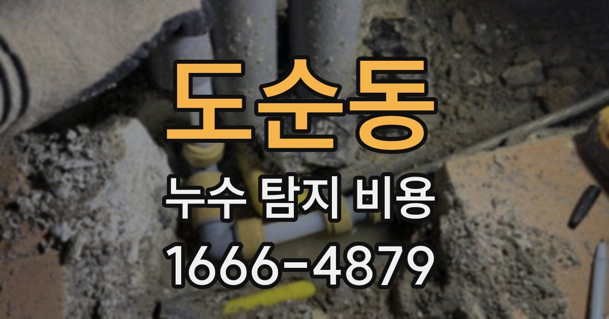 도순동 누수 탐지 비용