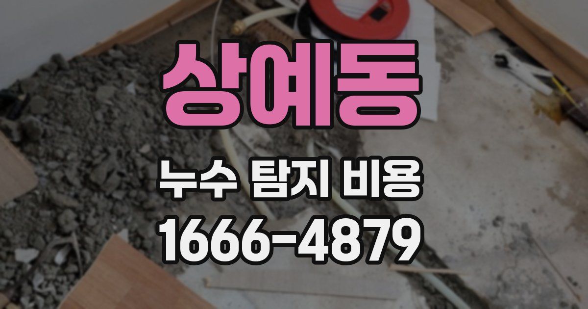 상예동 누수 탐지 비용