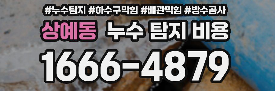 상예동 누수 탐지 비용