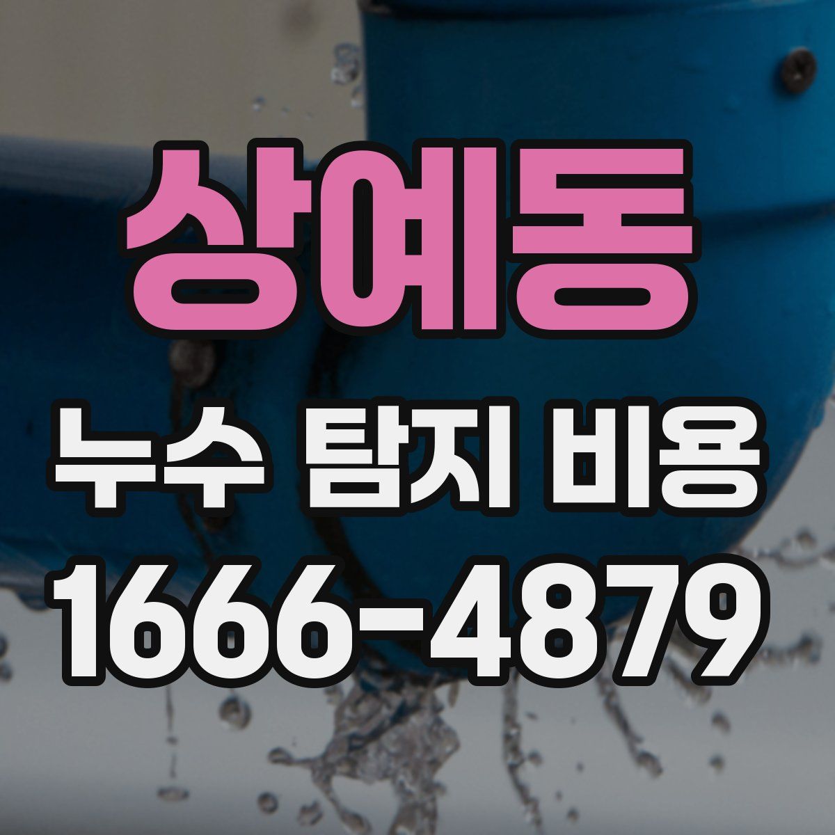 상예동 누수 탐지 비용