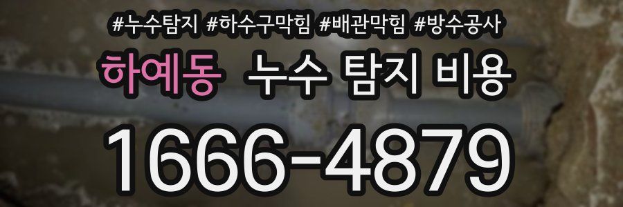 하예동 누수 탐지 비용