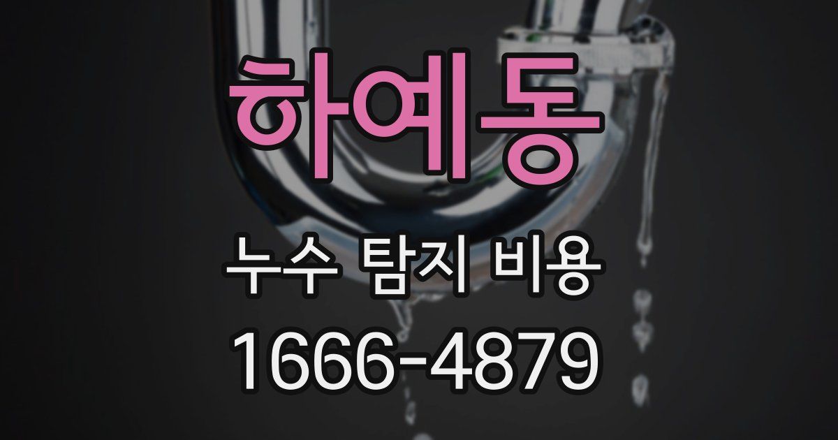 하예동 누수 탐지 비용