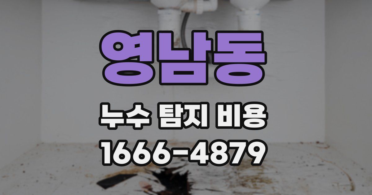 영남동 누수 탐지 비용