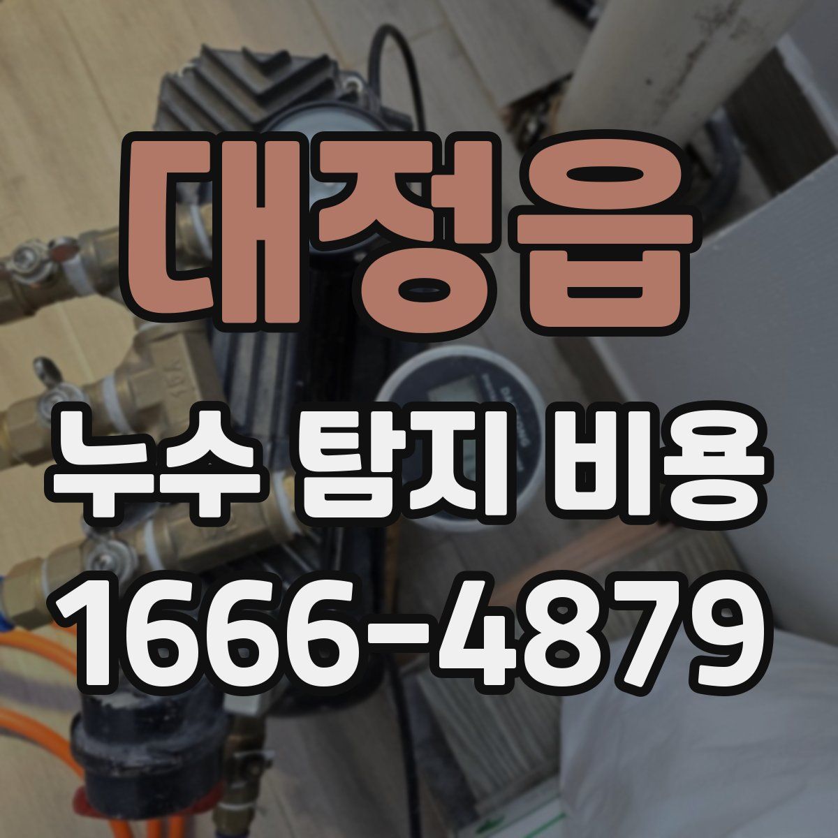 대정읍 누수 탐지 비용