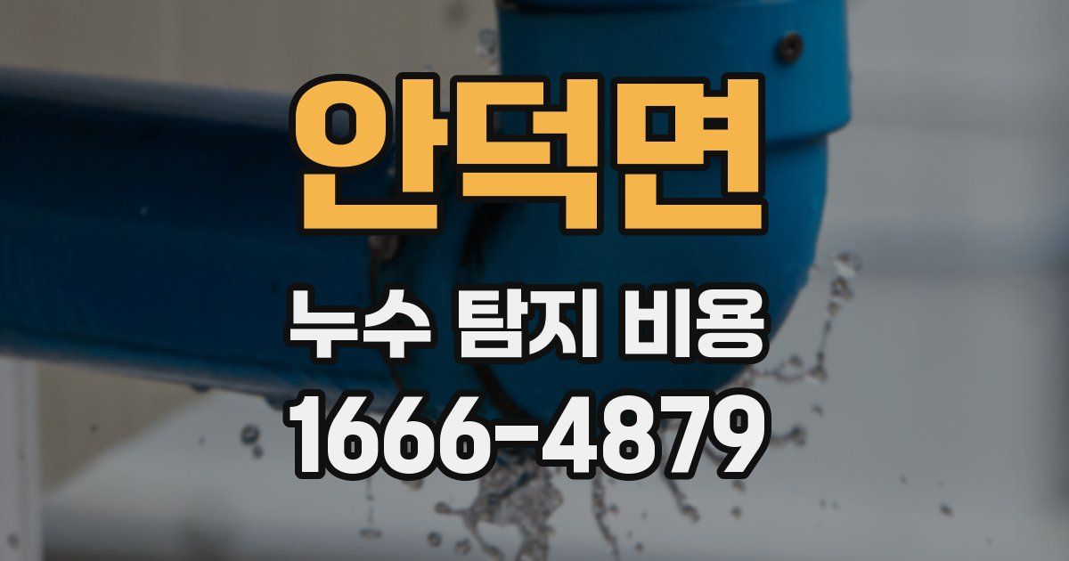 안덕면 누수 탐지 비용