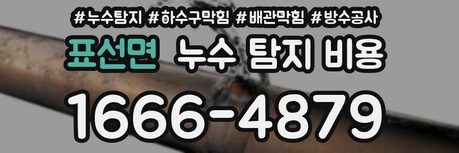 표선면 누수 탐지 비용