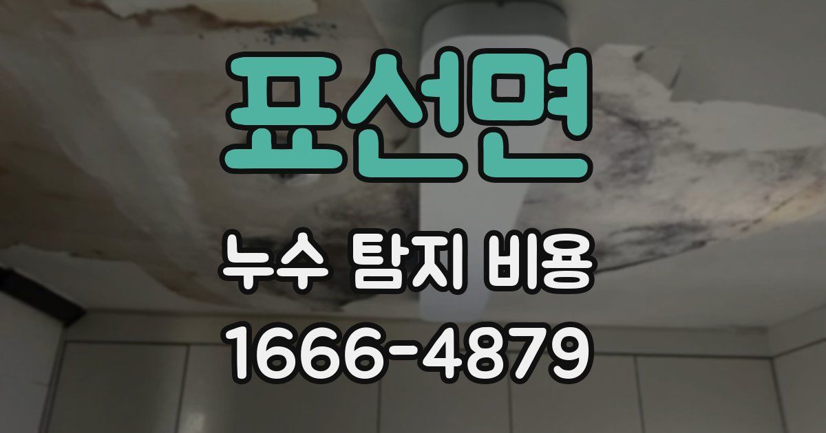 표선면 누수 탐지 비용