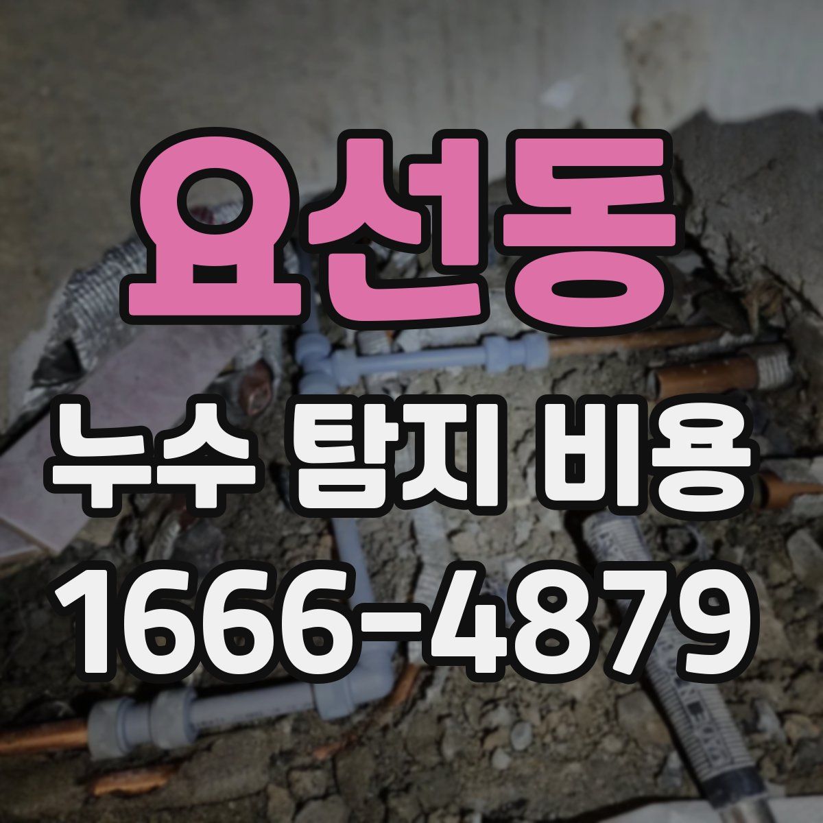 요선동 누수 탐지 비용