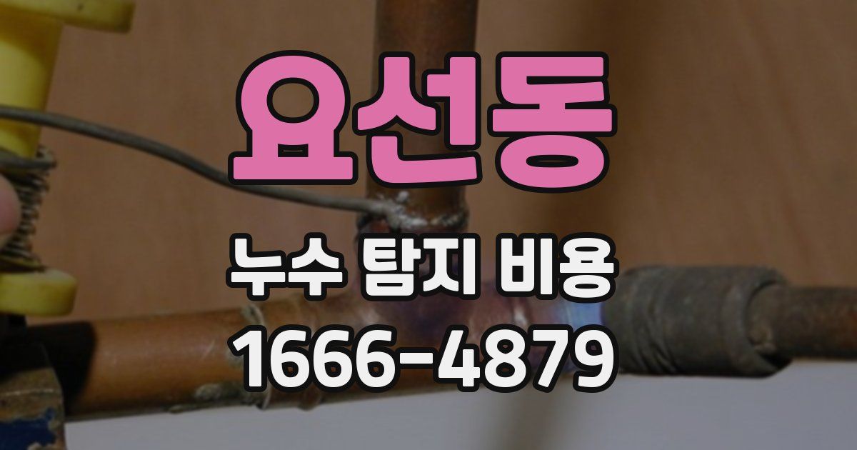 요선동 누수 탐지 비용