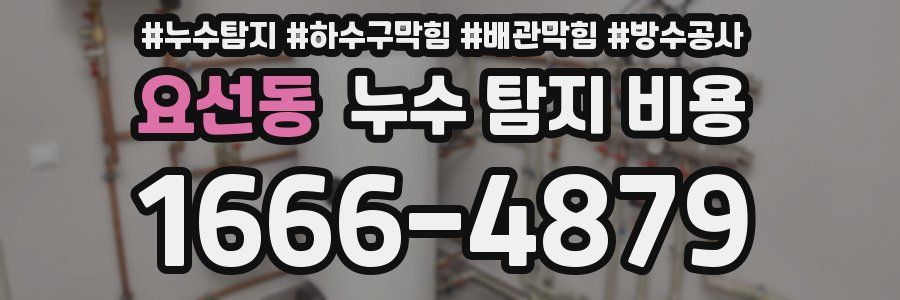 요선동 누수 탐지 비용