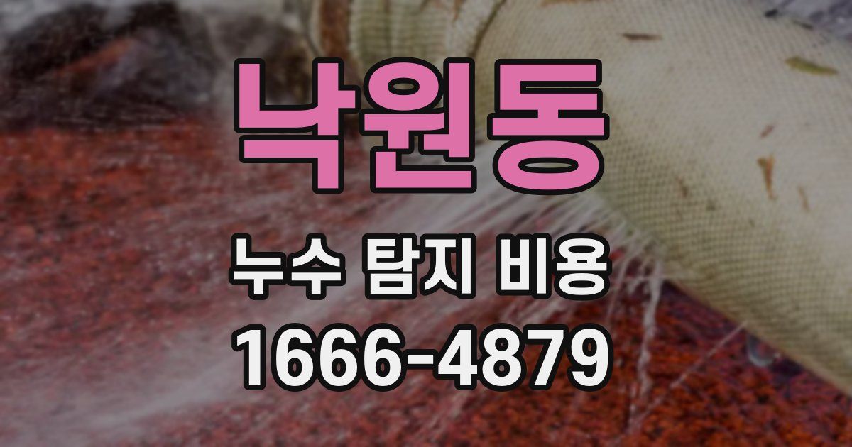 낙원동 누수 탐지 비용