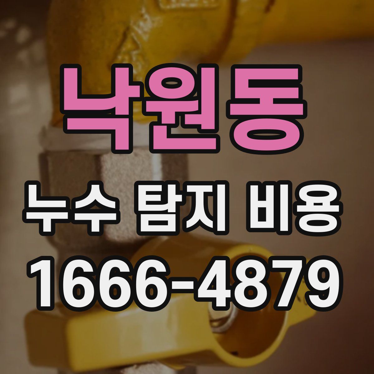 낙원동 누수 탐지 비용