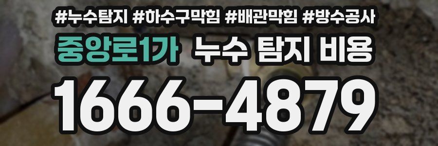 중앙로1가 누수 탐지 비용