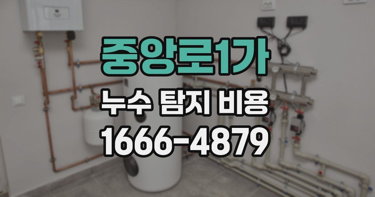 중앙로1가 누수 탐지 비용