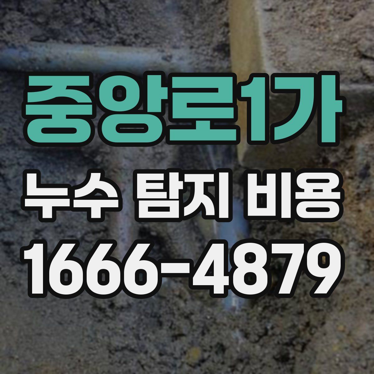 중앙로1가 누수 탐지 비용