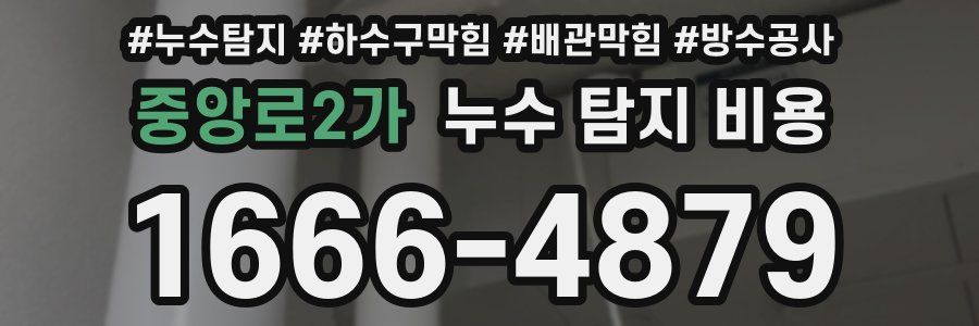 중앙로2가 누수 탐지 비용