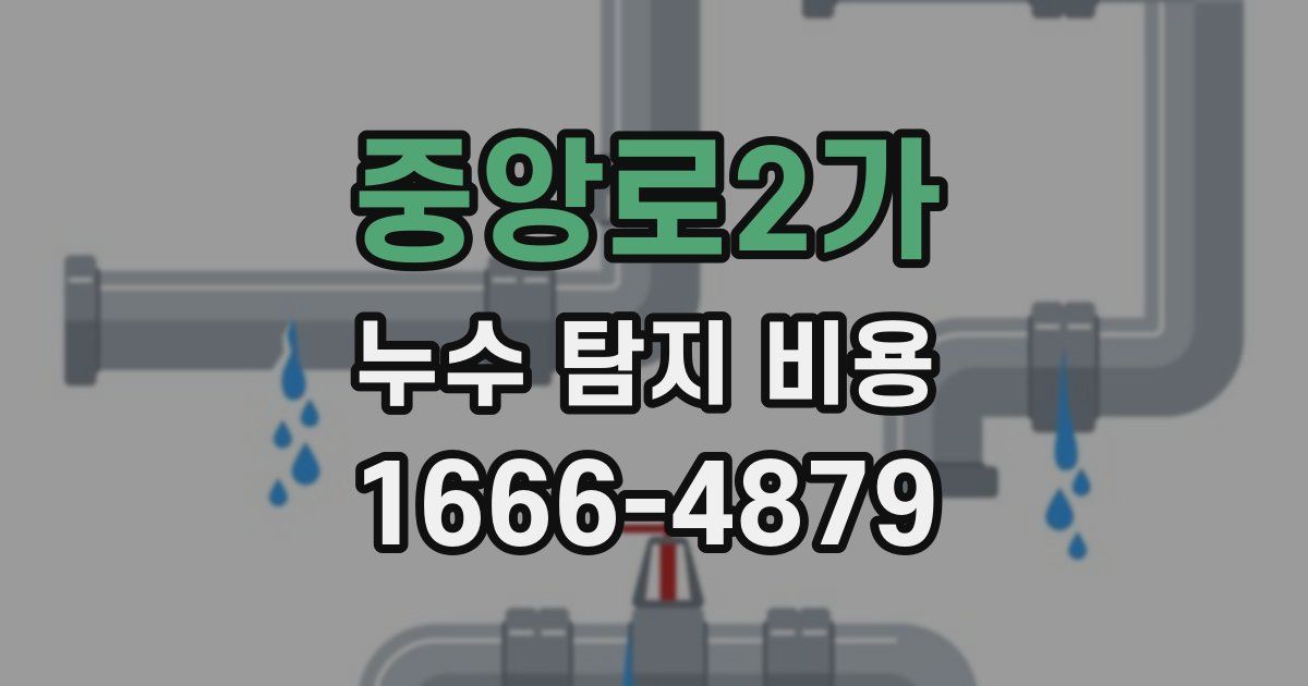 중앙로2가 누수 탐지 비용
