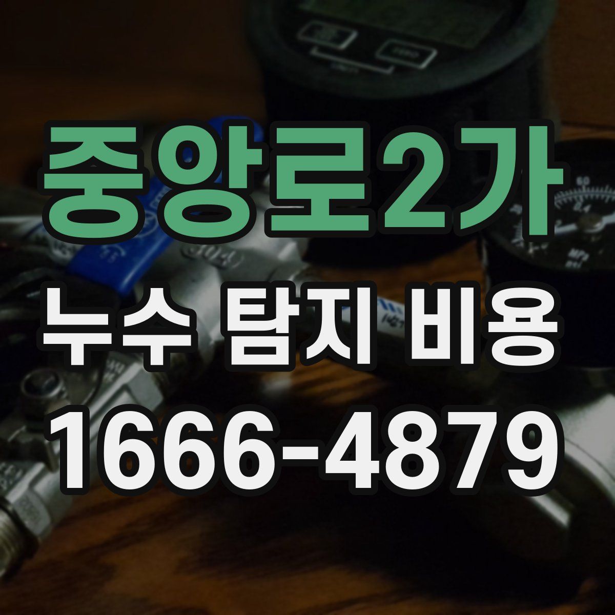 중앙로2가 누수 탐지 비용