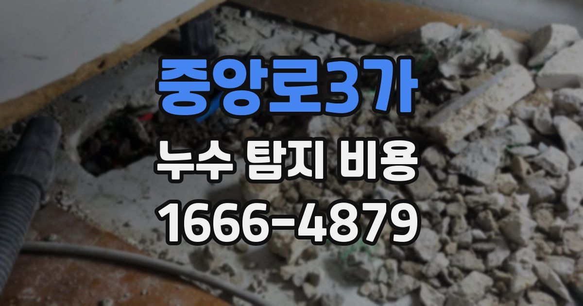 중앙로3가 누수 탐지 비용