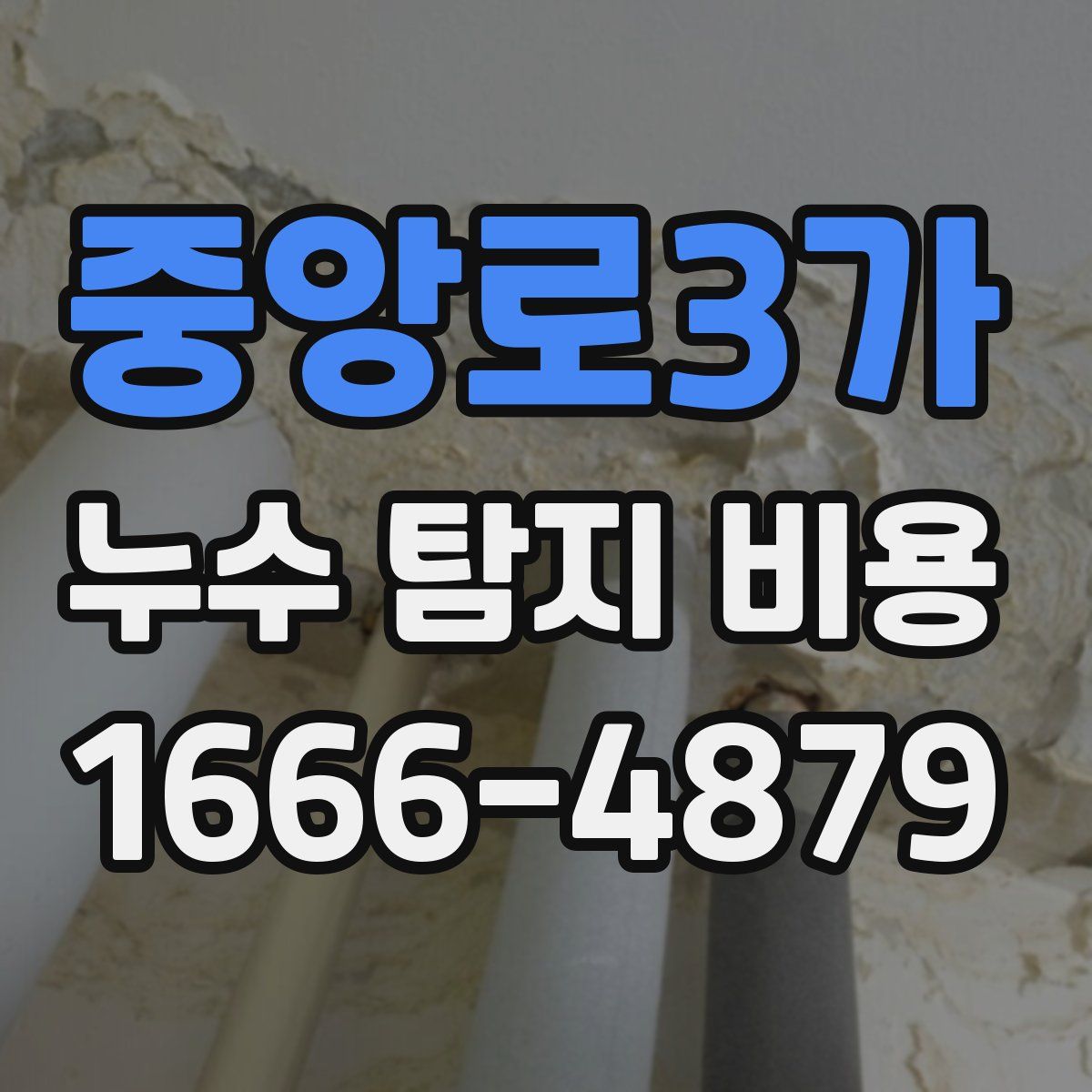 중앙로3가 누수 탐지 비용