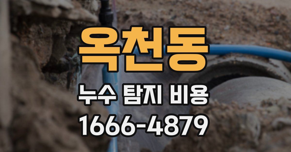 옥천동 누수 탐지 비용