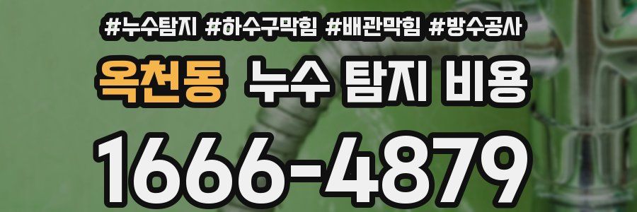 옥천동 누수 탐지 비용