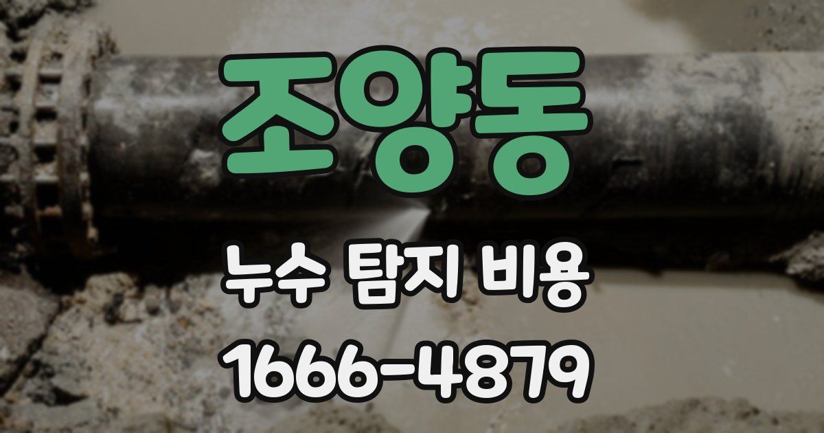 조양동 누수 탐지 비용