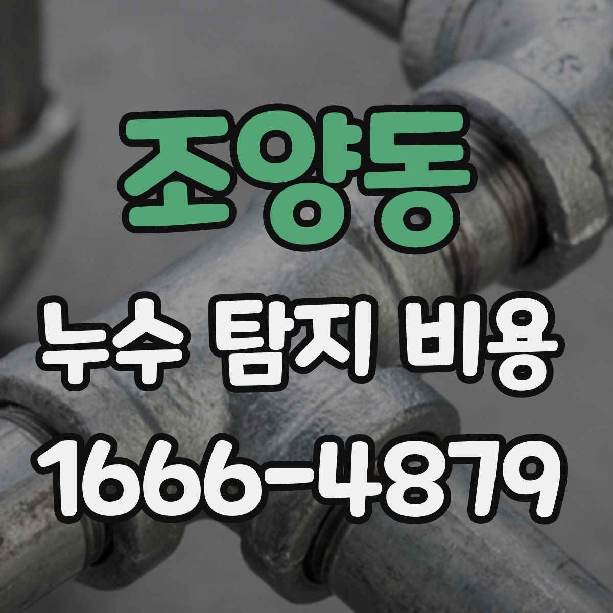 조양동 누수 탐지 비용