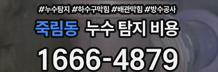 죽림동 누수 탐지 비용
