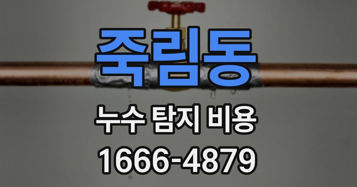죽림동 누수 탐지 비용