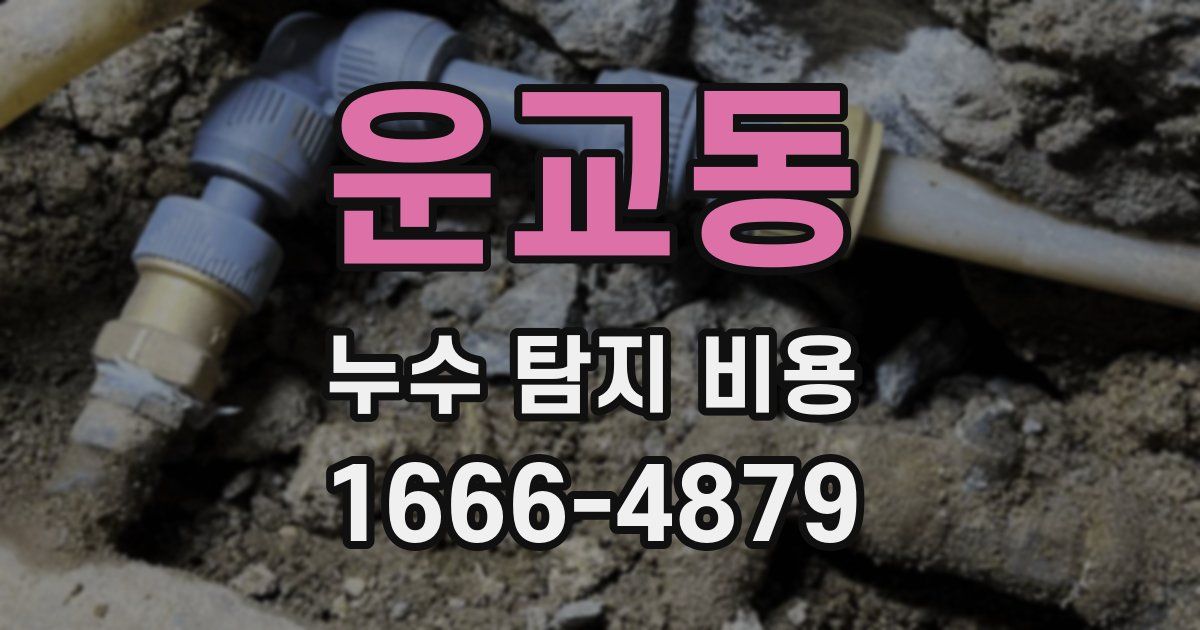 운교동 누수 탐지 비용