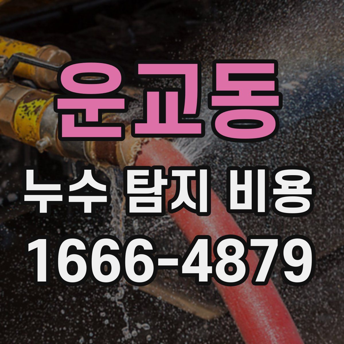 운교동 누수 탐지 비용