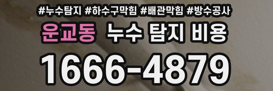 운교동 누수 탐지 비용