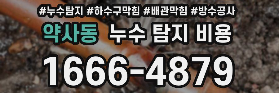 약사동 누수 탐지 비용