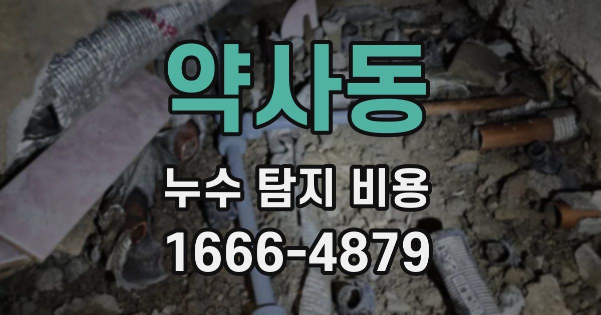 약사동 누수 탐지 비용