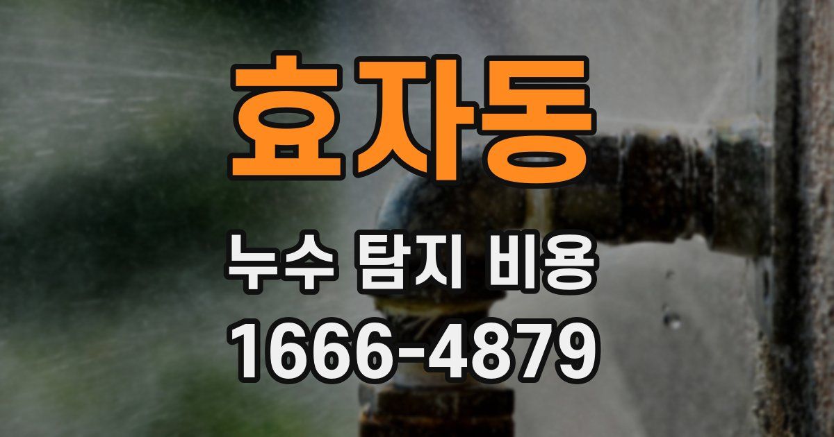 효자동 누수 탐지 비용