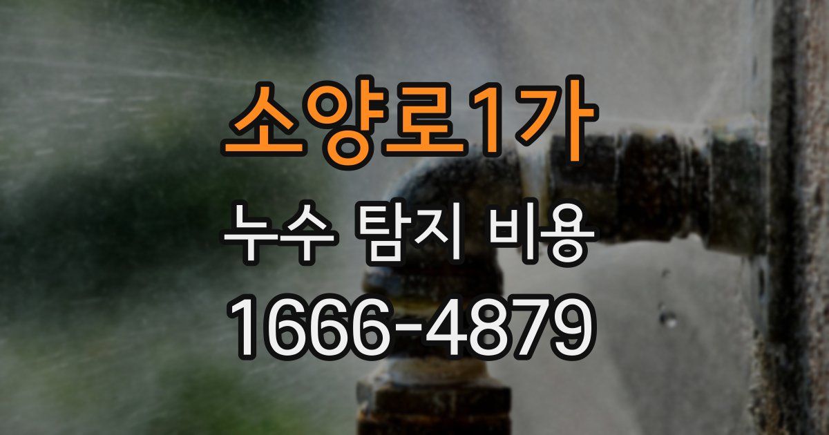 소양로1가 누수 탐지 비용