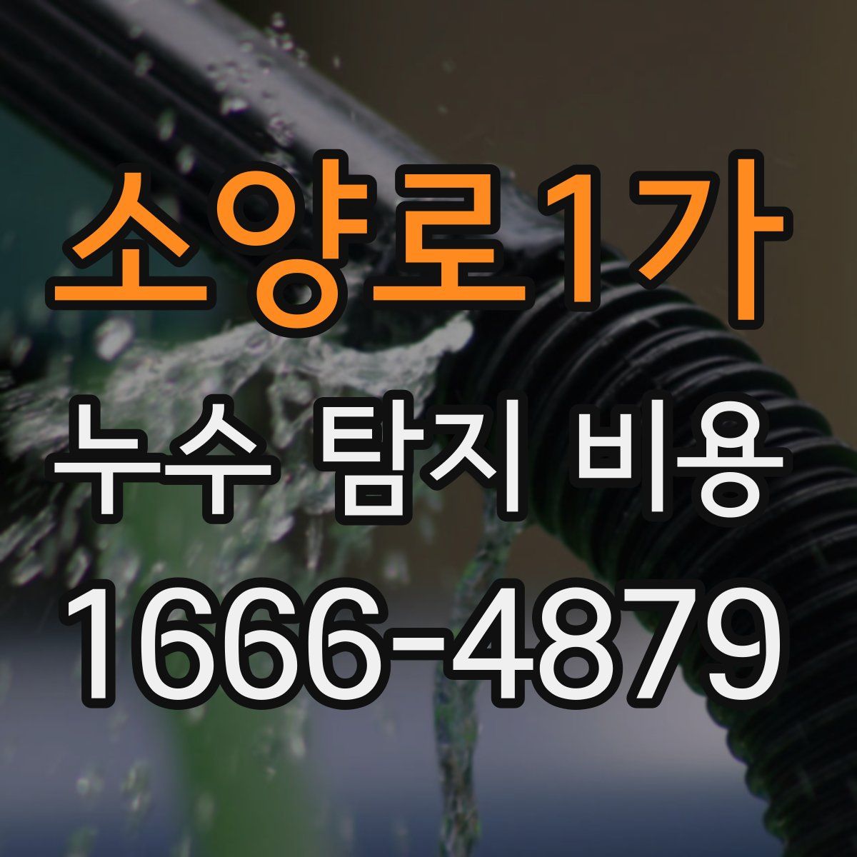 소양로1가 누수 탐지 비용