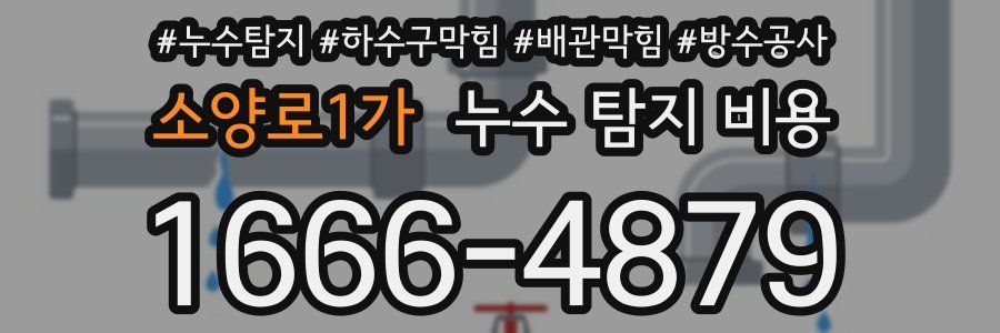 소양로1가 누수 탐지 비용