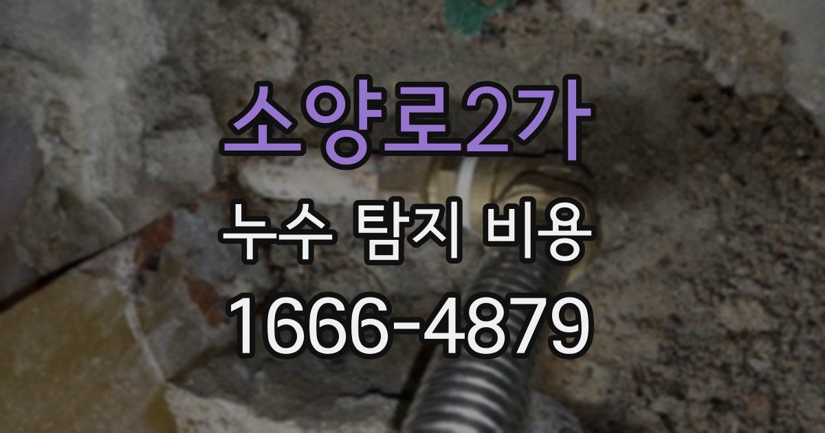 소양로2가 누수 탐지 비용