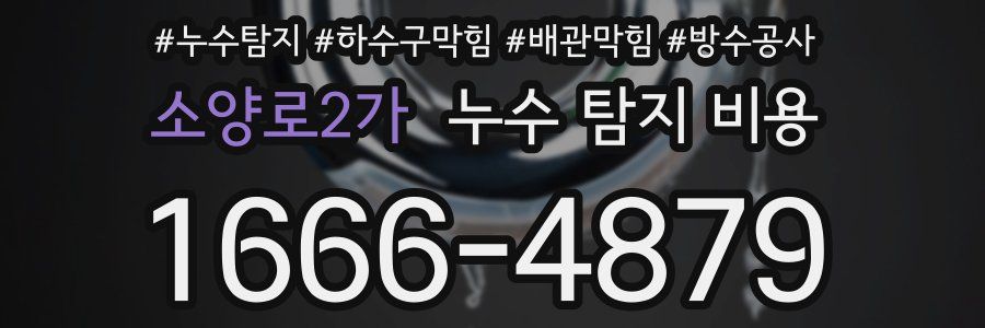 소양로2가 누수 탐지 비용