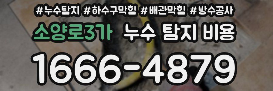 소양로3가 누수 탐지 비용