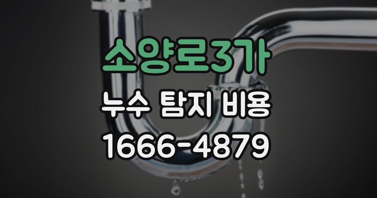 소양로3가 누수 탐지 비용