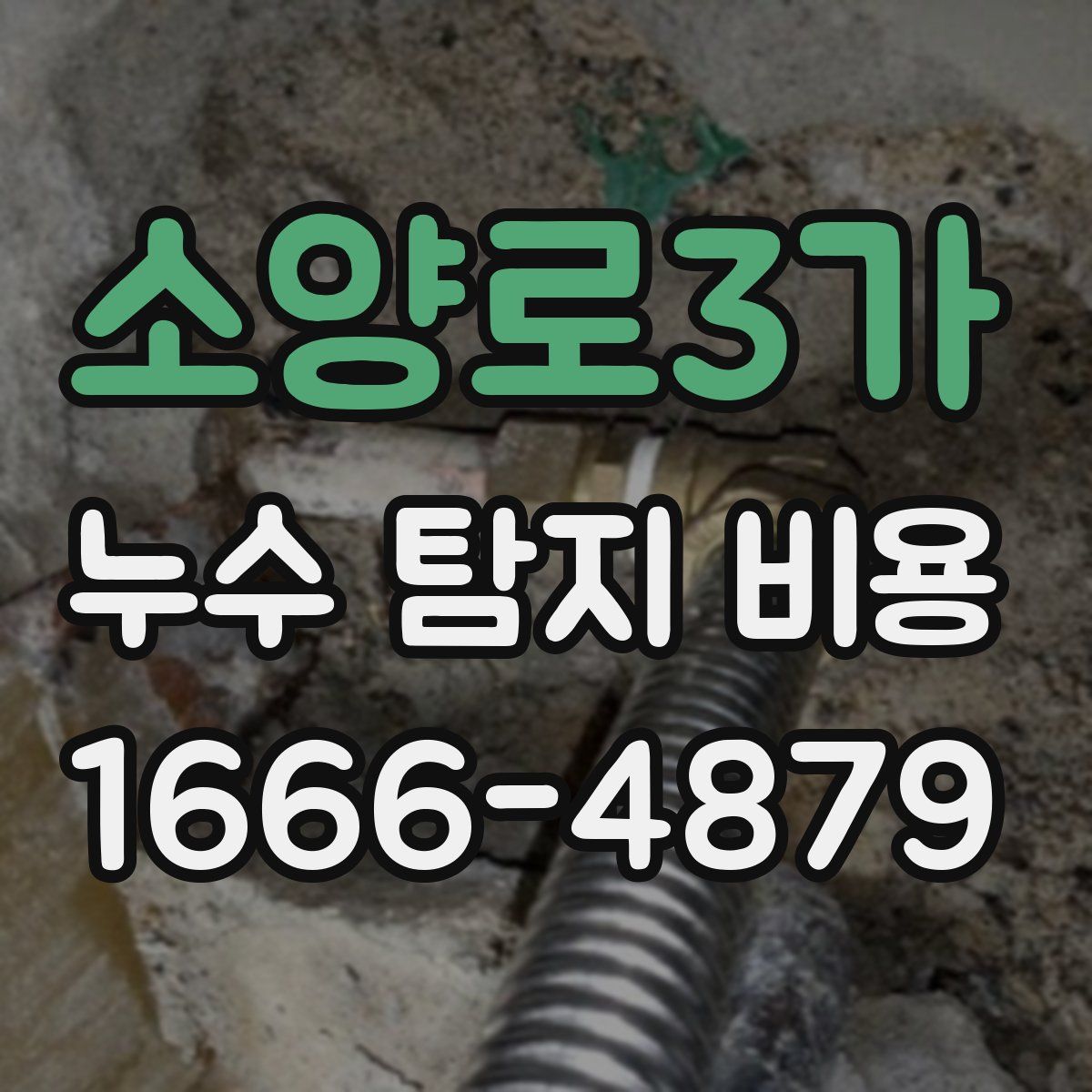 소양로3가 누수 탐지 비용