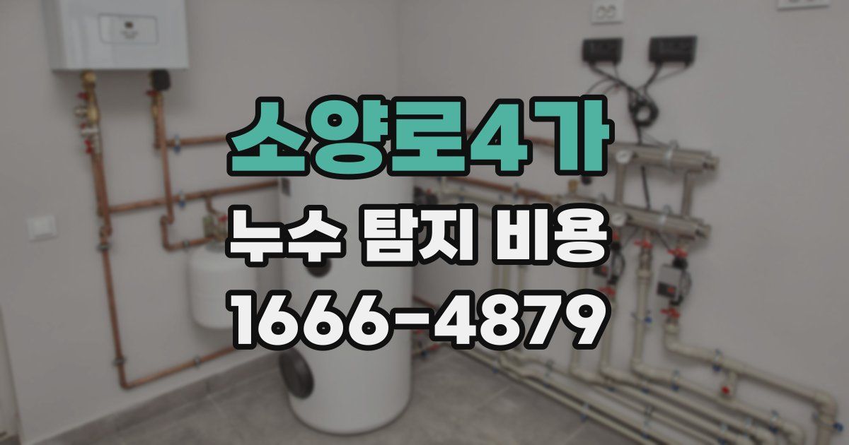 소양로4가 누수 탐지 비용